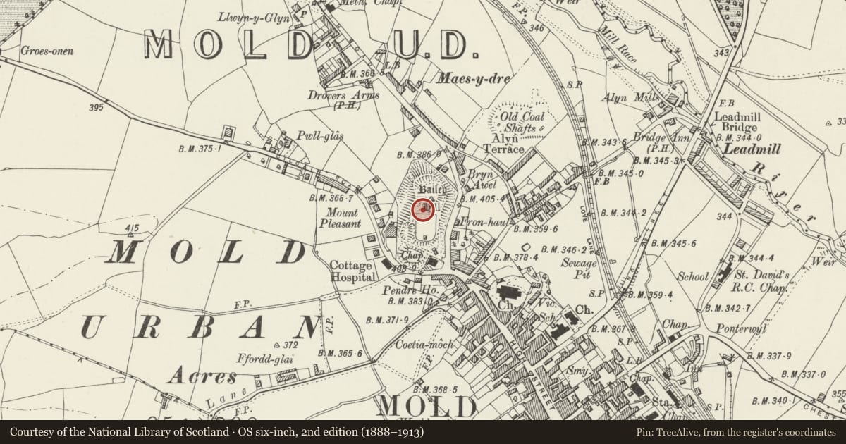 Ordnance Survey six-inch map, 2nd edition (1888–1913) covering the location of The Bailey Hill, Mold, Flintshire, with a pin at the register's coordinates