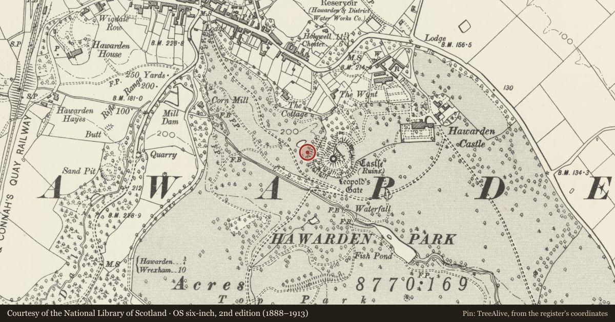 Ordnance Survey six-inch map, 2nd edition (1888–1913) covering the location of Hawarden Castle, Flintshire, with a pin at the register's coordinates