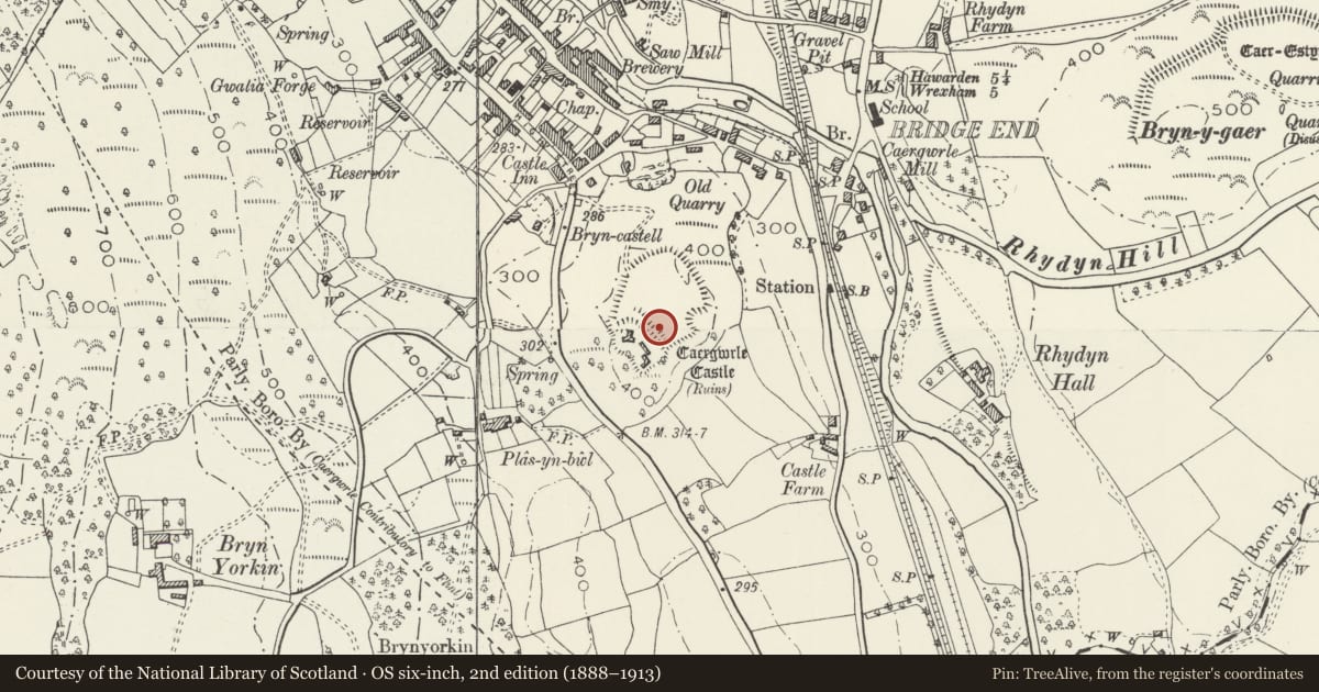 Ordnance Survey six-inch map, 2nd edition (1888–1913) covering the location of Castell Caergwrle, Hope, Flintshire, with a pin at the register's coordinates