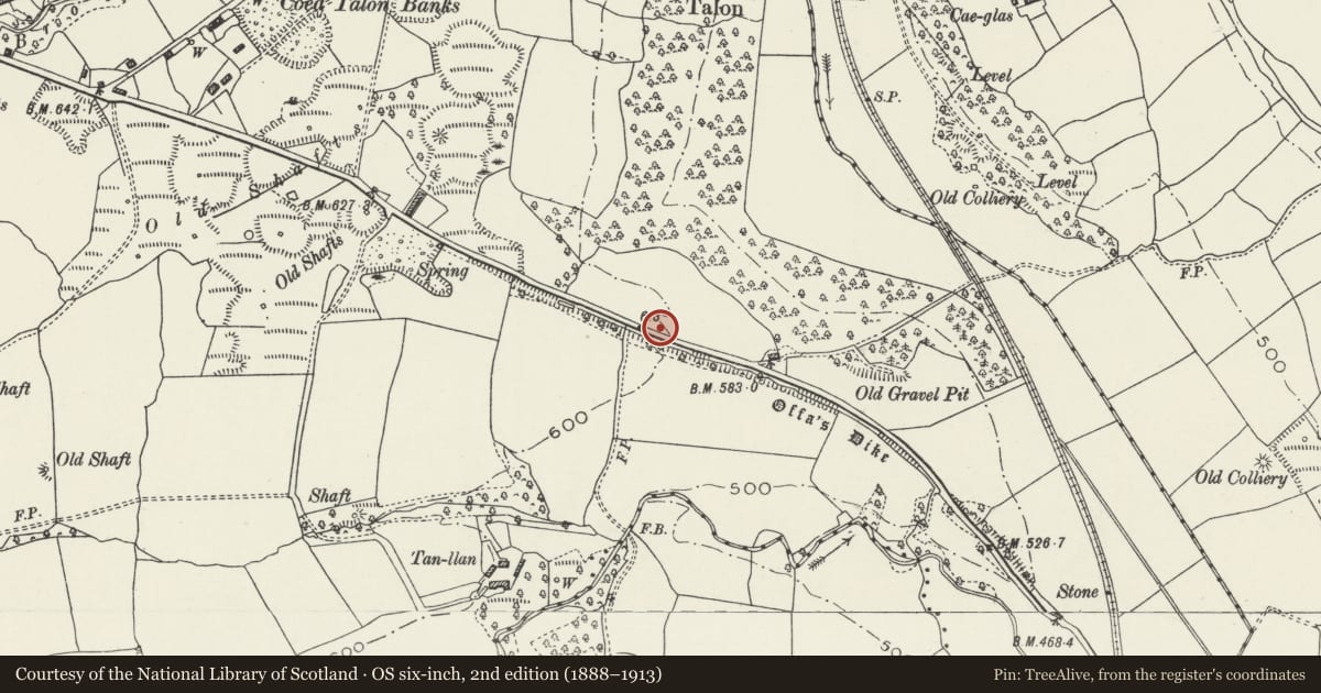 Ordnance Survey six-inch map, 2nd edition (1888–1913) covering the location of Offa's Dyke: Section extending 477m from Coed Talon Banks, Treuddyn, Flintshire, with a pin at the register's coordinates