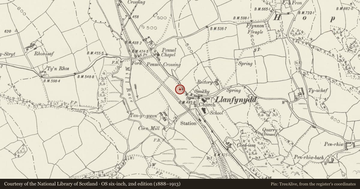 Ordnance Survey six-inch map, 2nd edition (1888–1913) covering the location of Offa's Dyke: Section extending 117m NW of Church, Llanfynydd, Flintshire, with a pin at the register's coordinates
