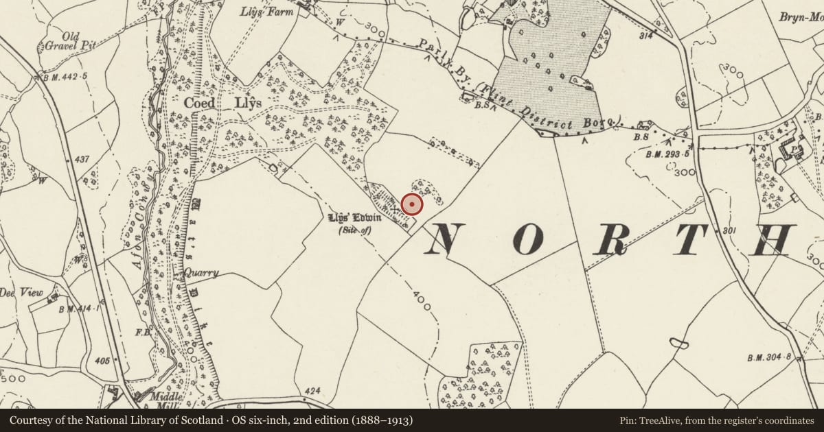 Ordnance Survey six-inch map, 2nd edition (1888–1913) covering the location of Llys Edwin Medieval Fortified House Site, Northop, Flintshire, with a pin at the register's coordinates