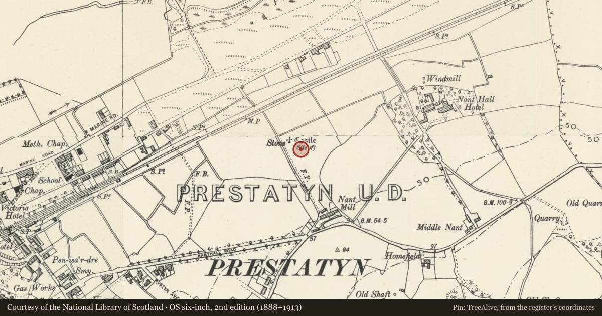 Ordnance Survey six-inch map, 2nd edition (1888–1913) covering the location of Prestatyn Castle, Denbighshire, with a pin at the register's coordinates