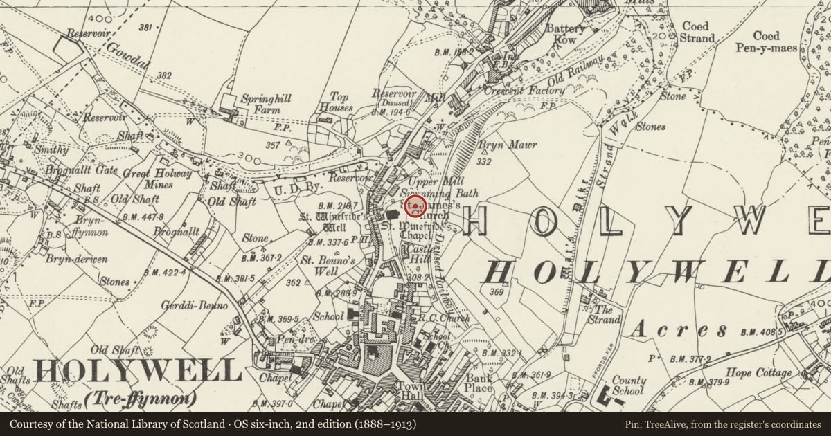 Ordnance Survey six-inch map, 2nd edition (1888–1913) covering the location of Holywell Castle Mound, Flintshire, with a pin at the register's coordinates