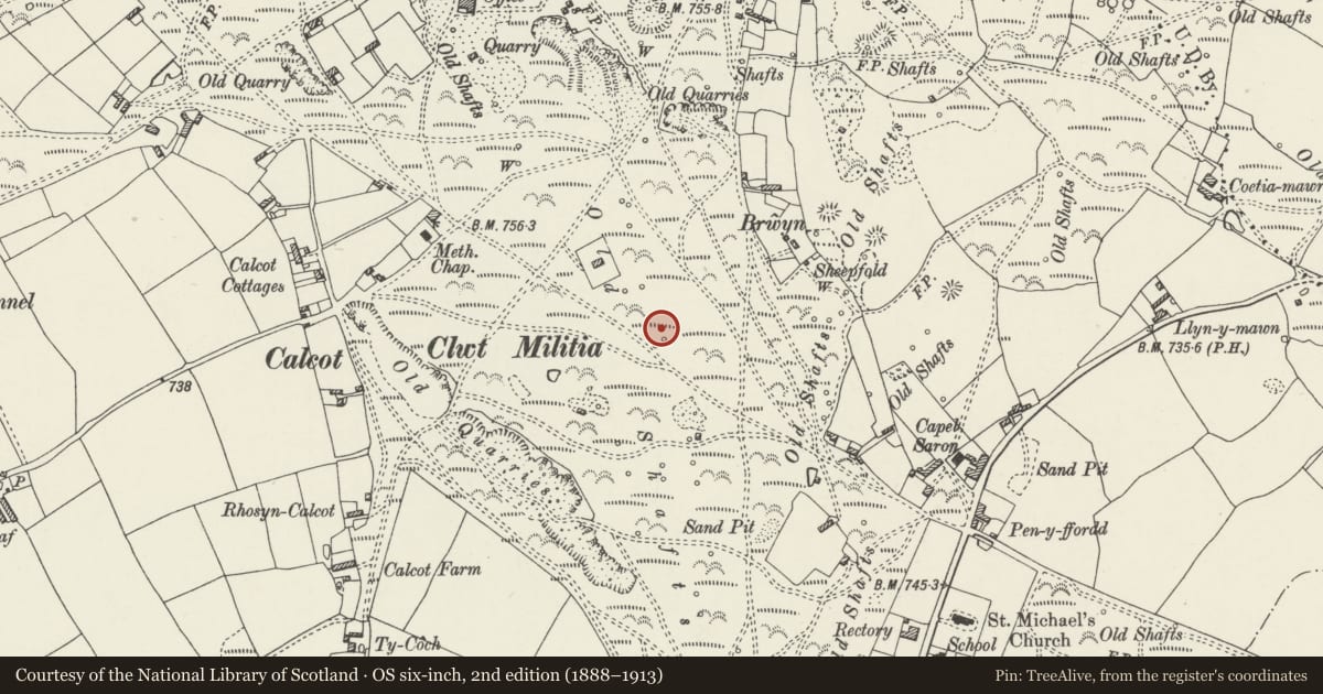 Ordnance Survey six-inch map, 2nd edition (1888–1913) covering the location of Circle & Two Round Barrows on Southern Portion of Holywell Golf Course, Brynford, Flintshire, with a pin at the register's coordinates