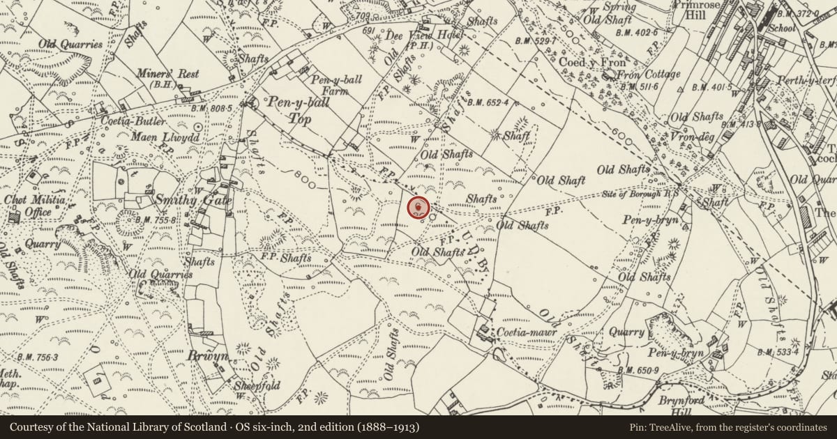 Ordnance Survey six-inch map, 2nd edition (1888–1913) covering the location of Round Barrow 400m SE of Smithy Gate, Brynford, Flintshire, with a pin at the register's coordinates