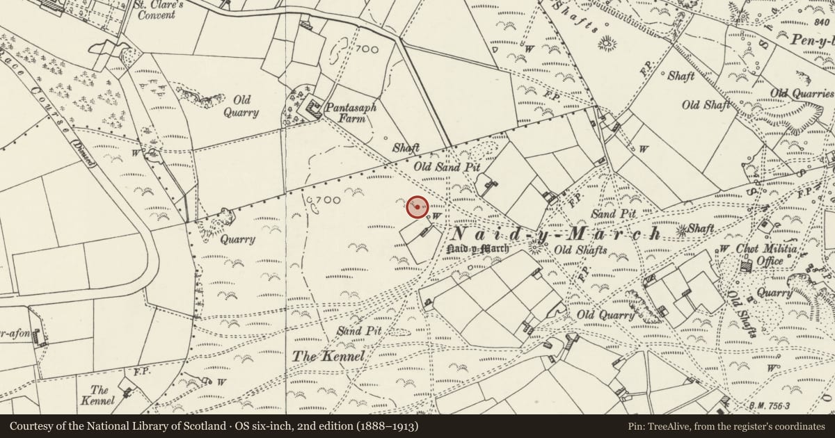 Ordnance Survey six-inch map, 2nd edition (1888–1913) covering the location of Round Barrow at Naid y March, Holywell Common, Brynford, Flintshire, with a pin at the register's coordinates