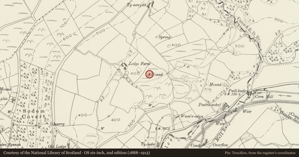 Ordnance Survey six-inch map, 2nd edition (1888–1913) covering the location of Round Barrow 135m SE of Lodge Farm, Bodfari, Denbighshire, with a pin at the register's coordinates