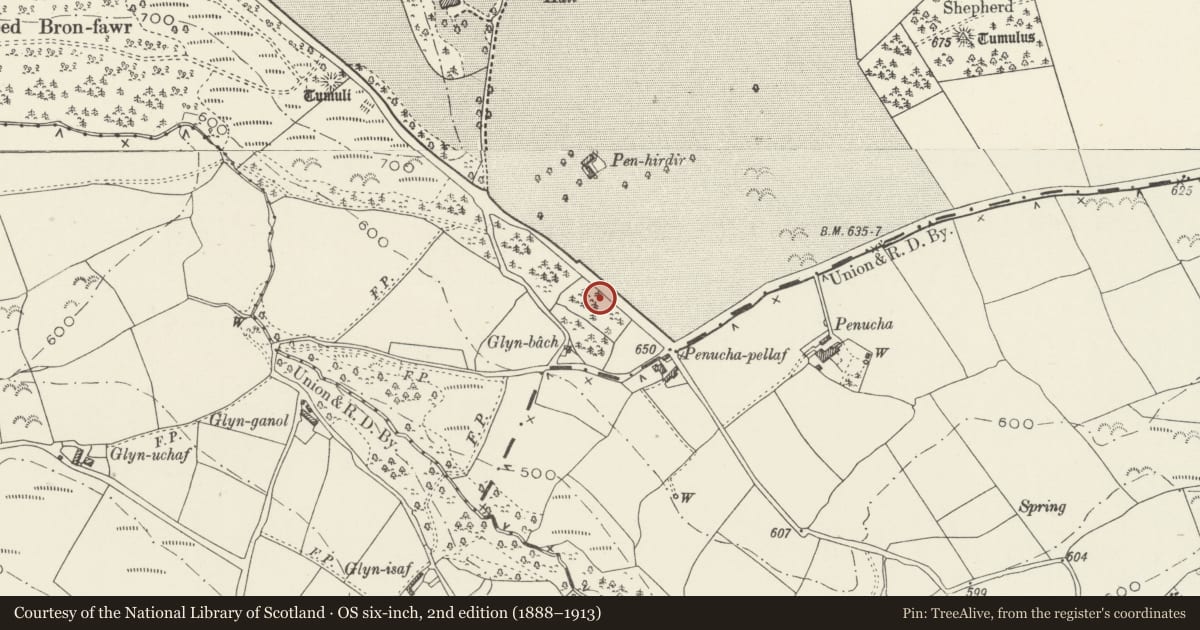 Ordnance Survey six-inch map, 2nd edition (1888–1913) covering the location of Coed Glyn-Bach Round Barrow, Caerwys, Flintshire, with a pin at the register's coordinates