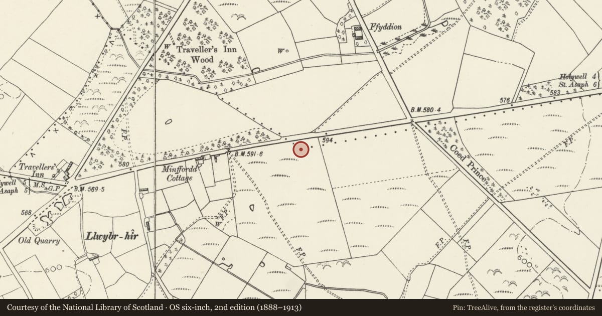 Ordnance Survey six-inch map, 2nd edition (1888–1913) covering the location of Round Barrow 225m E of Minffordd Cottage, Caerwys, Flintshire, with a pin at the register's coordinates