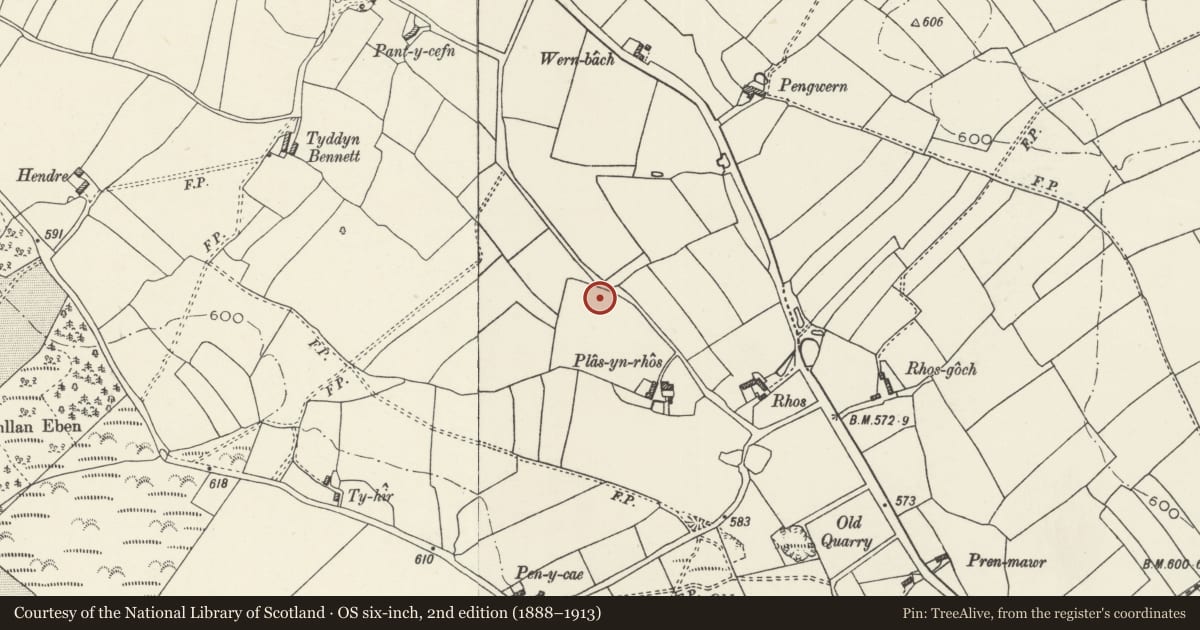 Ordnance Survey six-inch map, 2nd edition (1888–1913) covering the location of Round Barrow 153m NW of Plas yn Rhos, Caerwys, Flintshire, with a pin at the register's coordinates