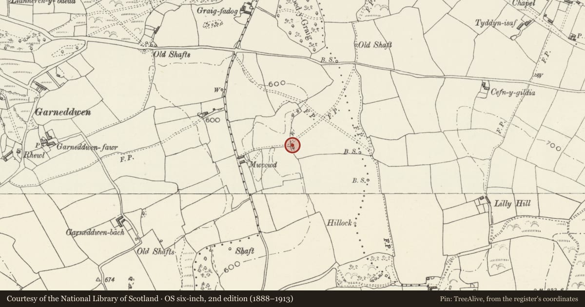 Ordnance Survey six-inch map, 2nd edition (1888–1913) covering the location of Round Barrow 180m E of Mwccwd, Halkyn, Flintshire, with a pin at the register's coordinates