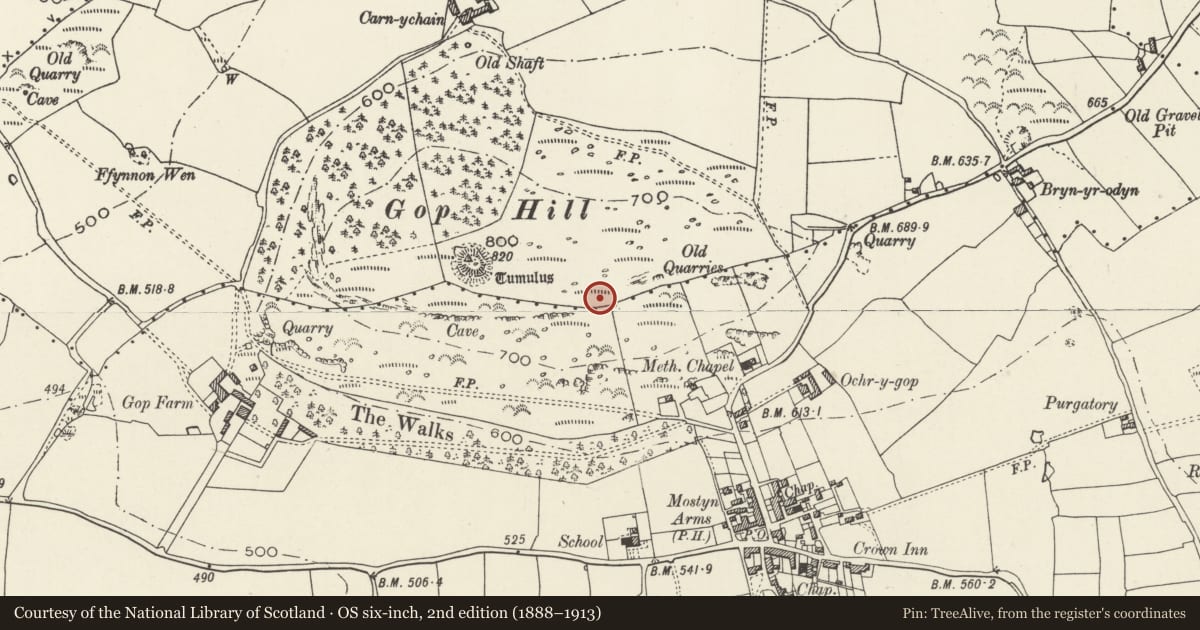 Ordnance Survey six-inch map, 2nd edition (1888–1913) covering the location of Barrow on E Slope of Gop Hill, Trelawnyd and Gwaenysgor, Flintshire, with a pin at the register's coordinates