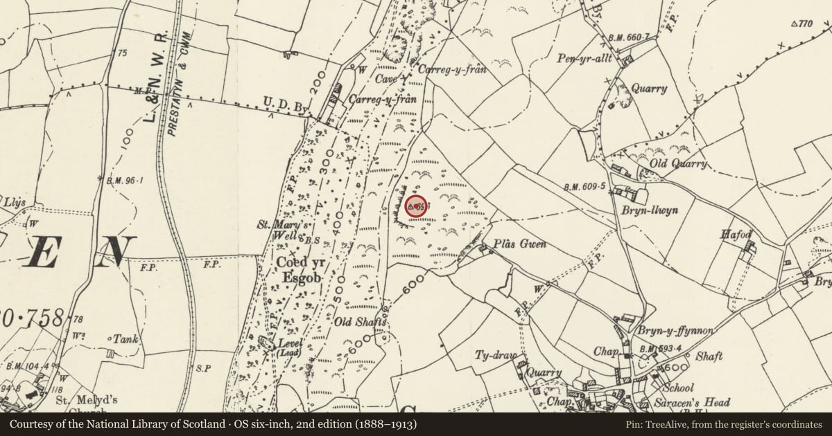 Ordnance Survey six-inch map, 2nd edition (1888–1913) covering the location of Round Barrow on Coed Yr Esgob, Trelawnyd and Gwaenysgor, Flintshire, with a pin at the register's coordinates