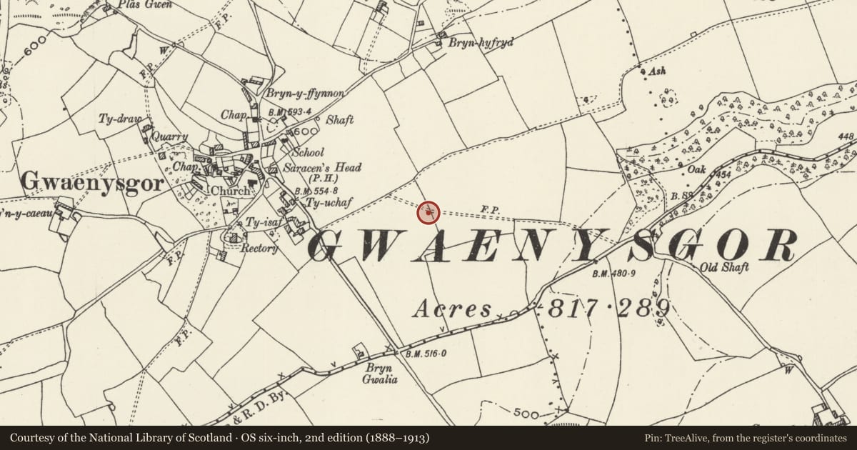 Ordnance Survey six-inch map, 2nd edition (1888–1913) covering the location of Round Barrow 225m E of Village, Trelawnyd and Gwaenysgor, Flintshire, with a pin at the register's coordinates