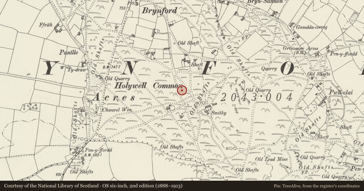Ordnance Survey six-inch map, 2nd edition (1888–1913) covering the location of Two Round Barrows 90m NE of Eosfan, Brynford, Flintshire, with a pin at the register's coordinates