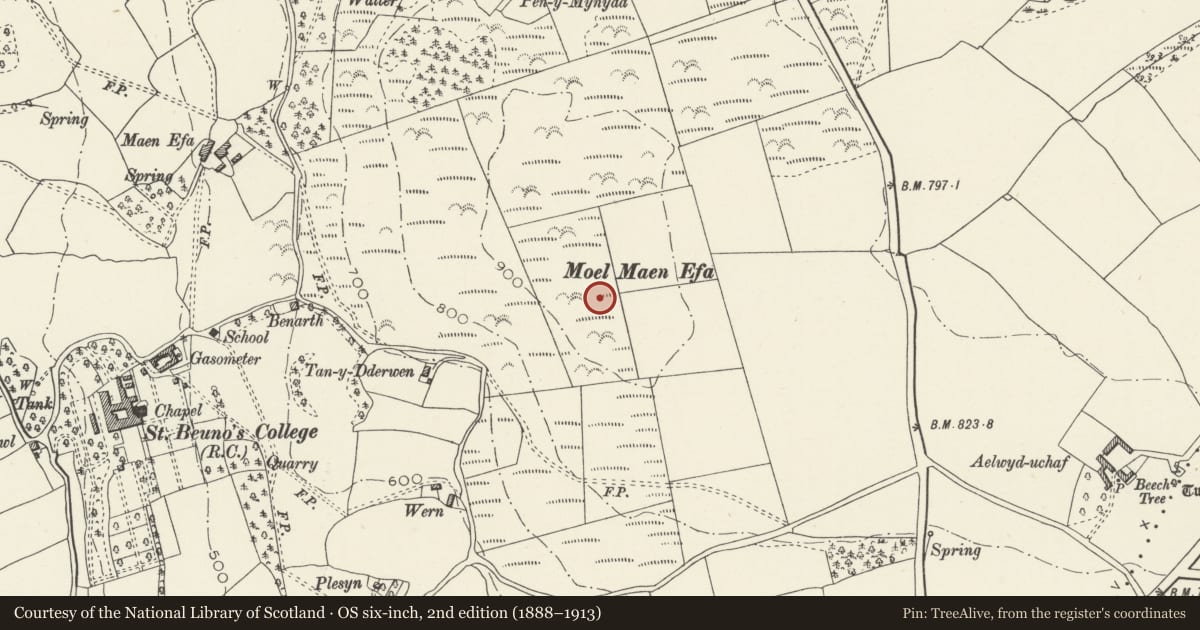 Ordnance Survey six-inch map, 2nd edition (1888–1913) covering the location of Two Round Barrows on Moel Maen Efa, Tremeirchion, Denbighshire, with a pin at the register's coordinates