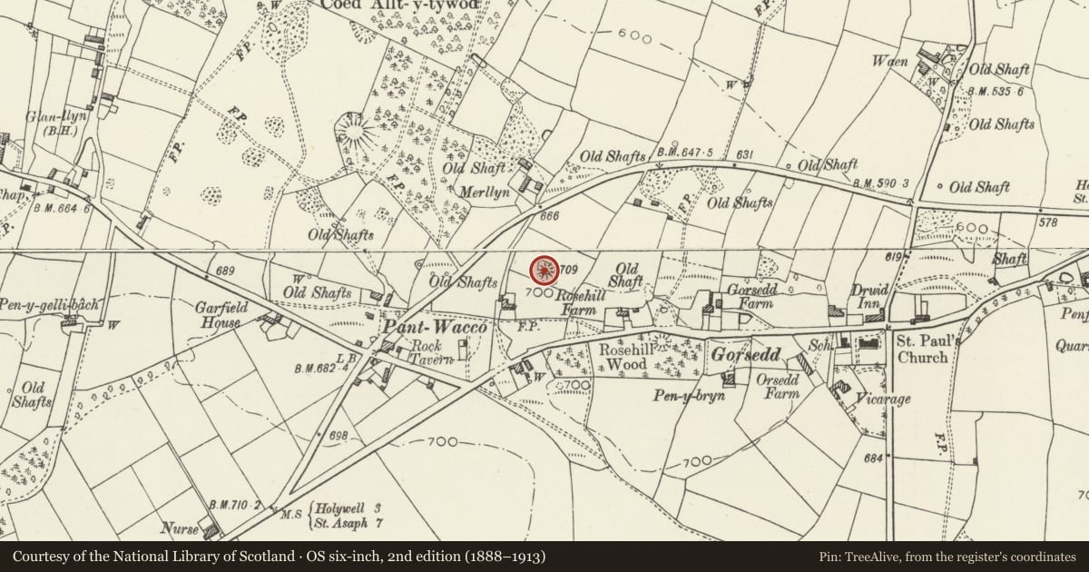 Ordnance Survey six-inch map, 2nd edition (1888–1913) covering the location of Round Barrow 135m NW of Rosehill Farm Gorsedd, Whitford, Flintshire, with a pin at the register's coordinates
