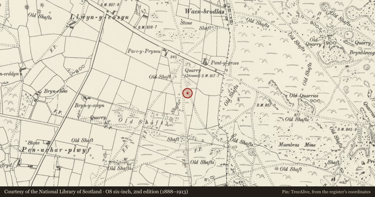 Ordnance Survey six-inch map, 2nd edition (1888–1913) covering the location of Round Barrow 225m SE of Parc y Prysau, Ysceifiog, Flintshire, with a pin at the register's coordinates