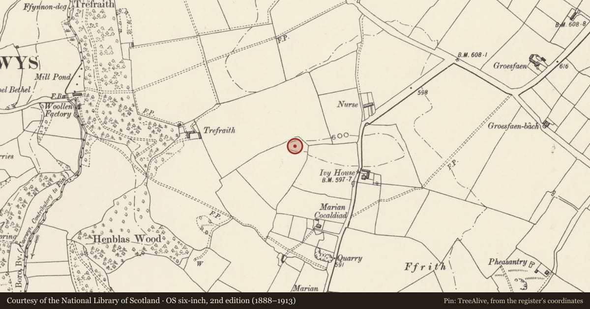 Ordnance Survey six-inch map, 2nd edition (1888–1913) covering the location of Round Barrow 450m SSW of Llynfanod, Ysceifiog, Flintshire, with a pin at the register's coordinates