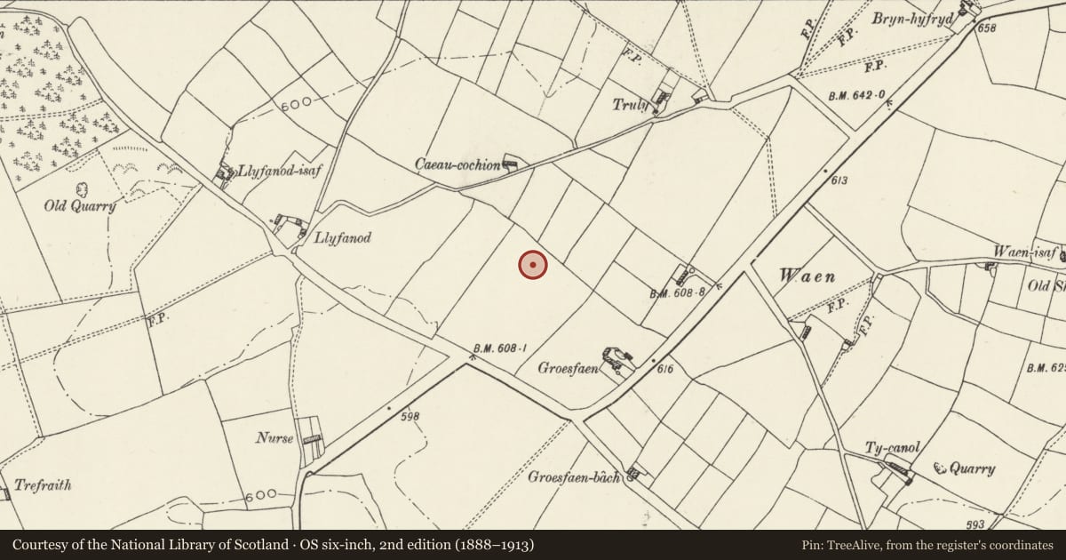 Ordnance Survey six-inch map, 2nd edition (1888–1913) covering the location of Round Barrow 180m NW of Groesfaen, Ysceifiog, Flintshire, with a pin at the register's coordinates