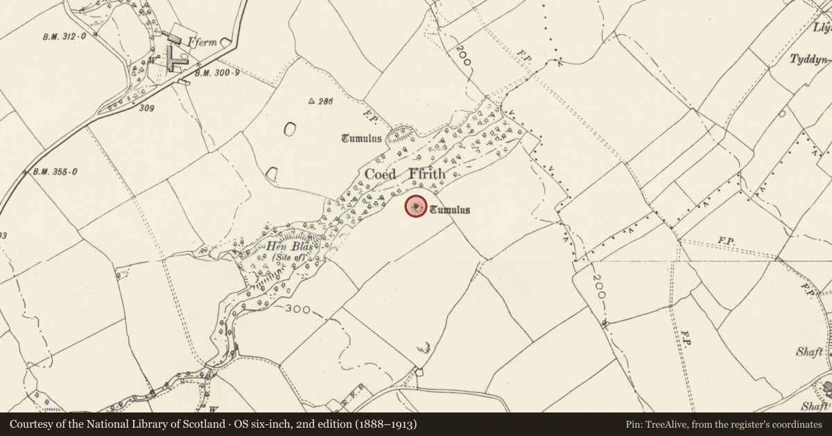 Ordnance Survey six-inch map, 2nd edition (1888–1913) covering the location of Bryn Castell Castle Mound, Bagillt, Flintshire, with a pin at the register's coordinates