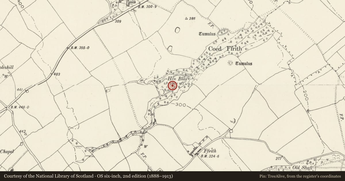 Ordnance Survey six-inch map, 2nd edition (1888–1913) covering the location of Hen Blas Castle Site, Bagillt, Flintshire, with a pin at the register's coordinates