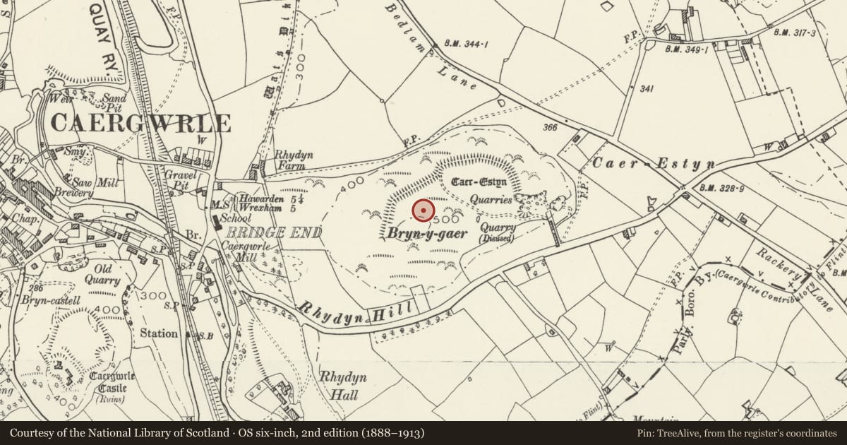 Ordnance Survey six-inch map, 2nd edition (1888–1913) covering the location of Caer Estyn Hillfort, Hope, Flintshire, with a pin at the register's coordinates