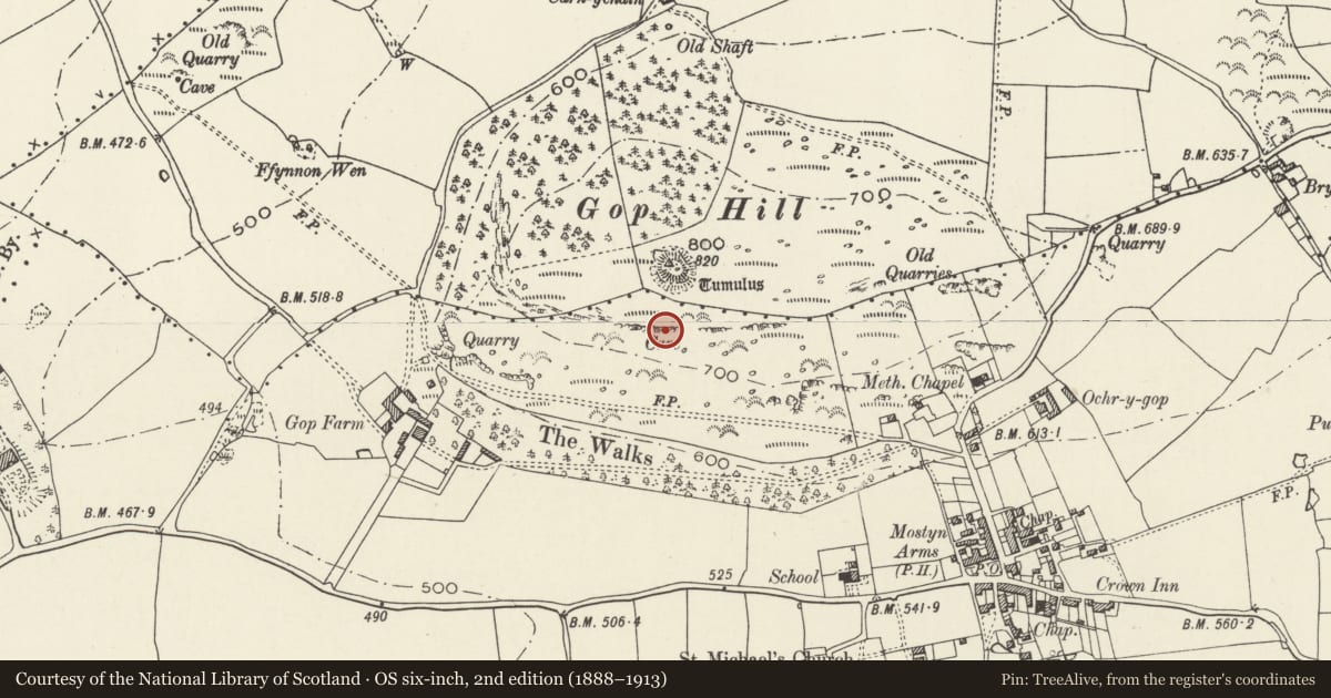 Ordnance Survey six-inch map, 2nd edition (1888–1913) covering the location of The Gop Caves, Trelawnyd and Gwaenysgor, Flintshire, with a pin at the register's coordinates