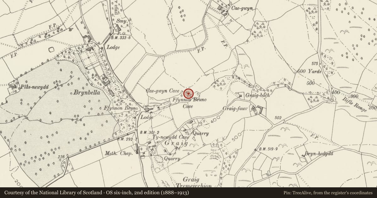 Ordnance Survey six-inch map, 2nd edition (1888–1913) covering the location of Ffynnon Beuno Cave, Tremeirchion, Denbighshire, with a pin at the register's coordinates