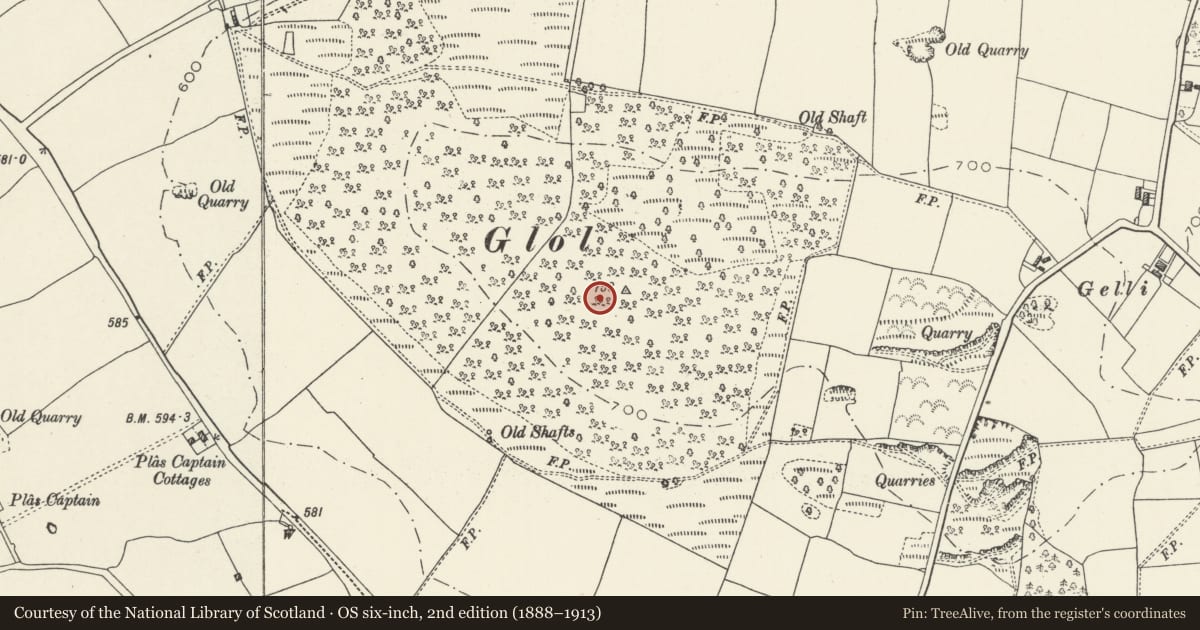 Ordnance Survey six-inch map, 2nd edition (1888–1913) covering the location of Glol Camp, Whitford, Flintshire, with a pin at the register's coordinates