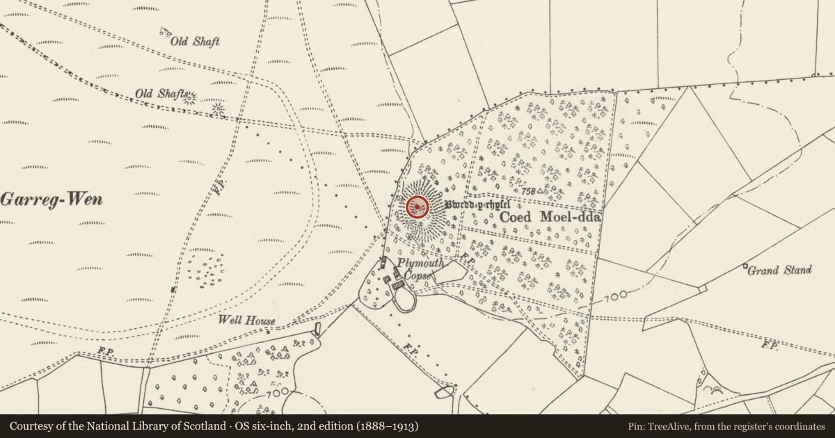 Ordnance Survey six-inch map, 2nd edition (1888–1913) covering the location of Bwrdd y Rhyfel Camp, Ysceifiog, Flintshire, with a pin at the register's coordinates