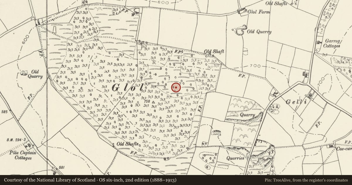 Ordnance Survey six-inch map, 2nd edition (1888–1913) covering the location of Round Barrow 450m South West of Glol Farm, Whitford, Flintshire, with a pin at the register's coordinates