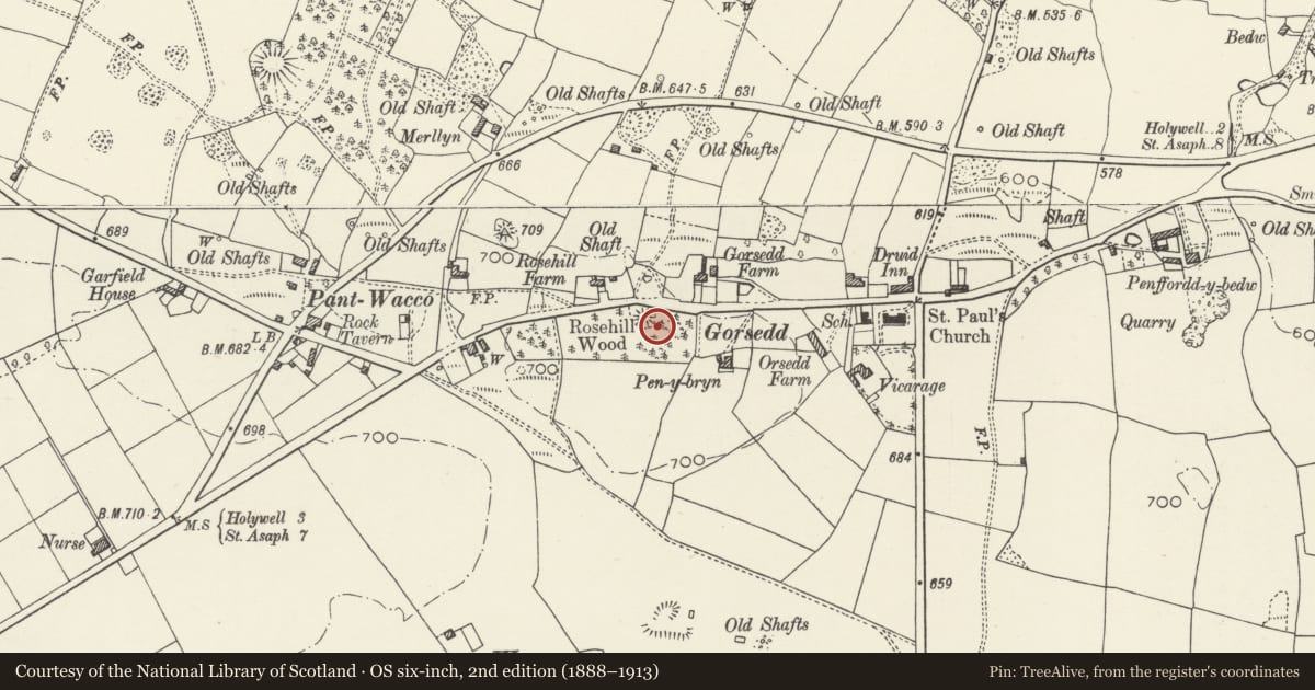 Ordnance Survey six-inch map, 2nd edition (1888–1913) covering the location of Y Gorseddau Round Barrows, Whitford, Flintshire, with a pin at the register's coordinates