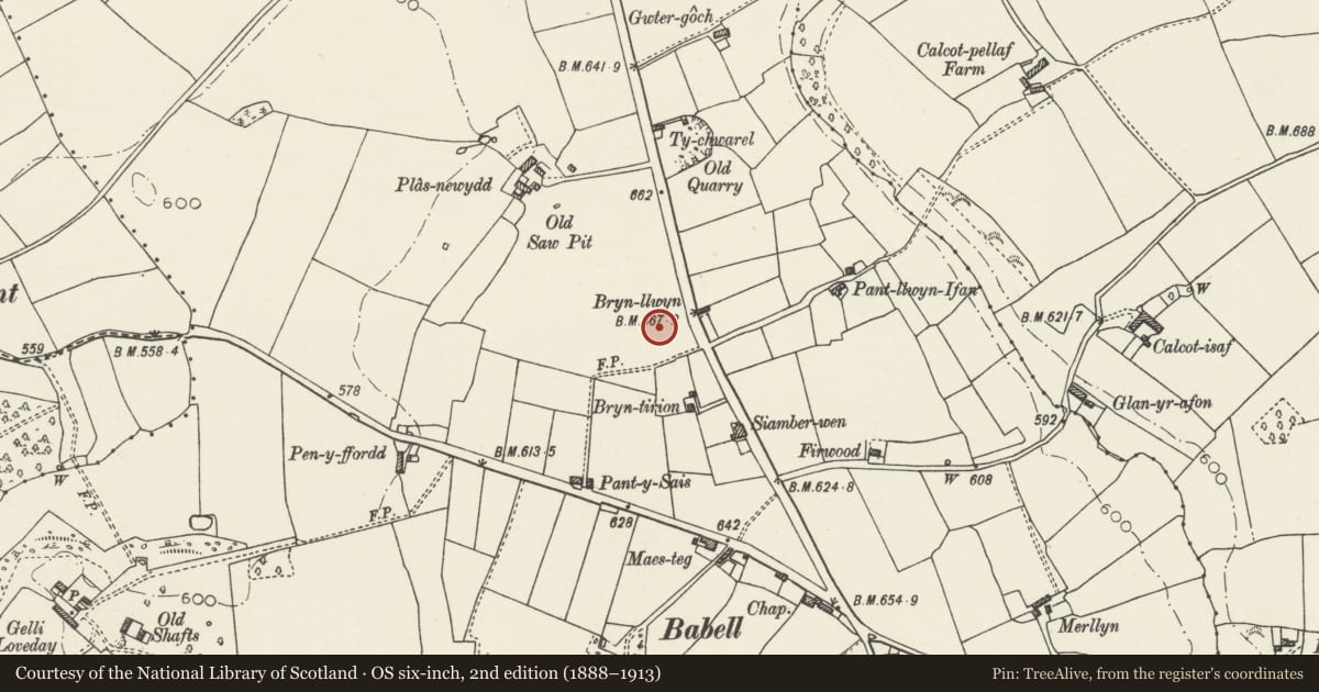 Ordnance Survey six-inch map, 2nd edition (1888–1913) covering the location of Round Barrow 225m SE of Plas Newydd, Ysceifiog, Flintshire, with a pin at the register's coordinates