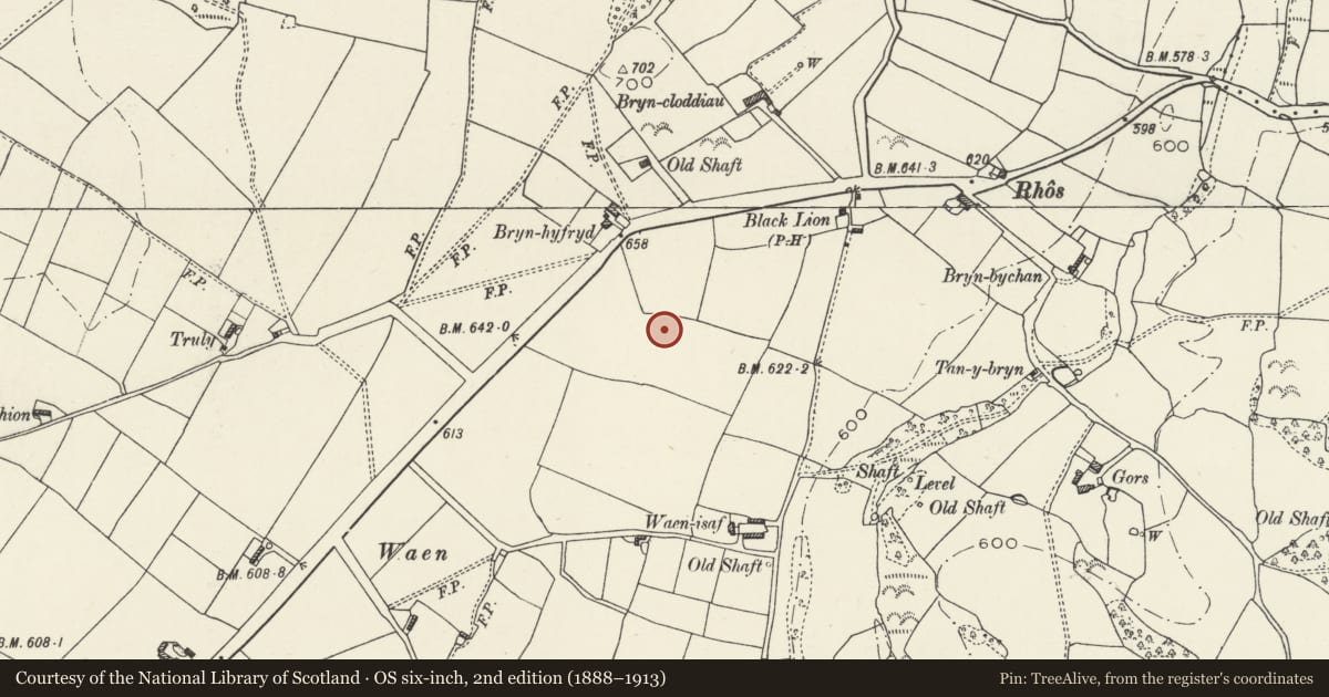 Ordnance Survey six-inch map, 2nd edition (1888–1913) covering the location of Round Barrow 270m NW of Waen Isaf, Ysceifiog, Flintshire, with a pin at the register's coordinates