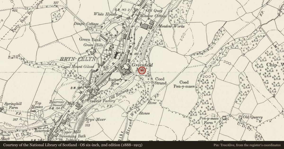 Ordnance Survey six-inch map, 2nd edition (1888–1913) covering the location of Wat's Dyke: Section SE of Meadow Mills, Holywell, Flintshire, with a pin at the register's coordinates