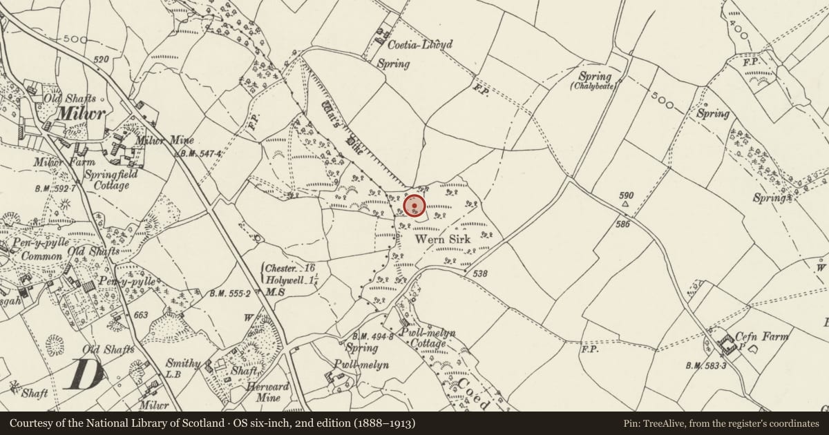 Ordnance Survey six-inch map, 2nd edition (1888–1913) covering the location of Wat's Dyke: Section in Wern Sirk Wood, Bagillt, Flintshire, with a pin at the register's coordinates