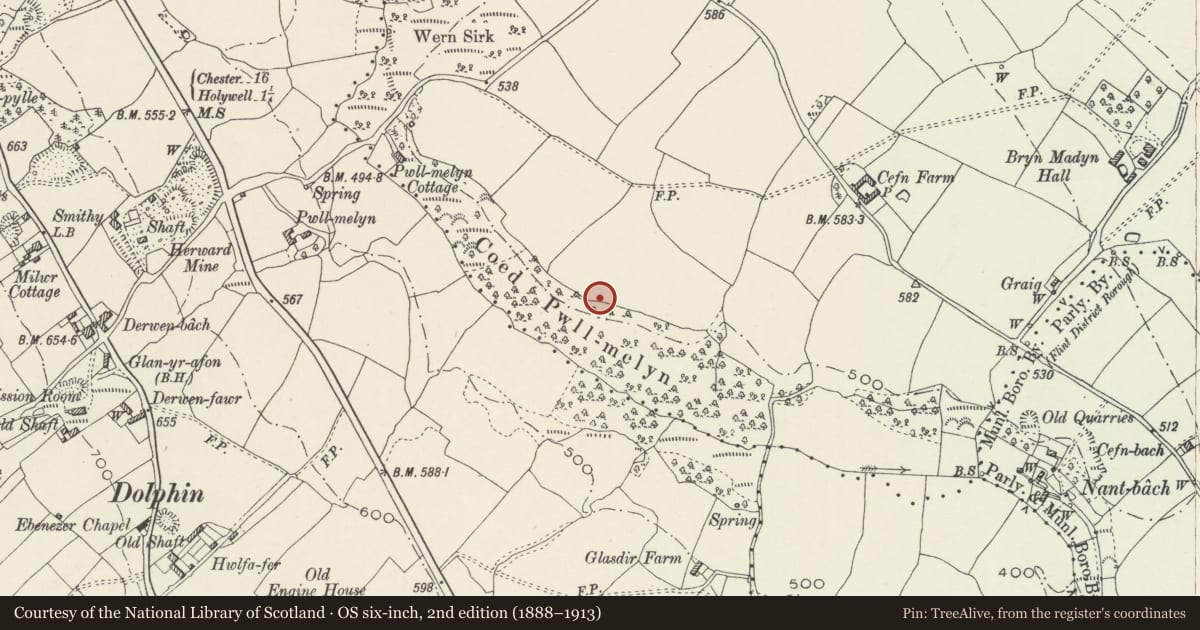 Ordnance Survey six-inch map, 2nd edition (1888–1913) covering the location of Wat's Dyke: Section in Fron Tydyr, Bagillt, Flintshire, with a pin at the register's coordinates
