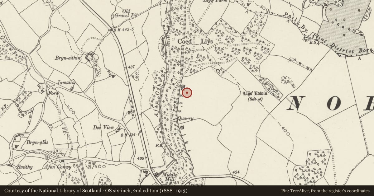 Ordnance Survey six-inch map, 2nd edition (1888–1913) covering the location of Wat's Dyke: Section from Coed Llys to Chester-Holywell Road, Northop, Flintshire, with a pin at the register's coordinates