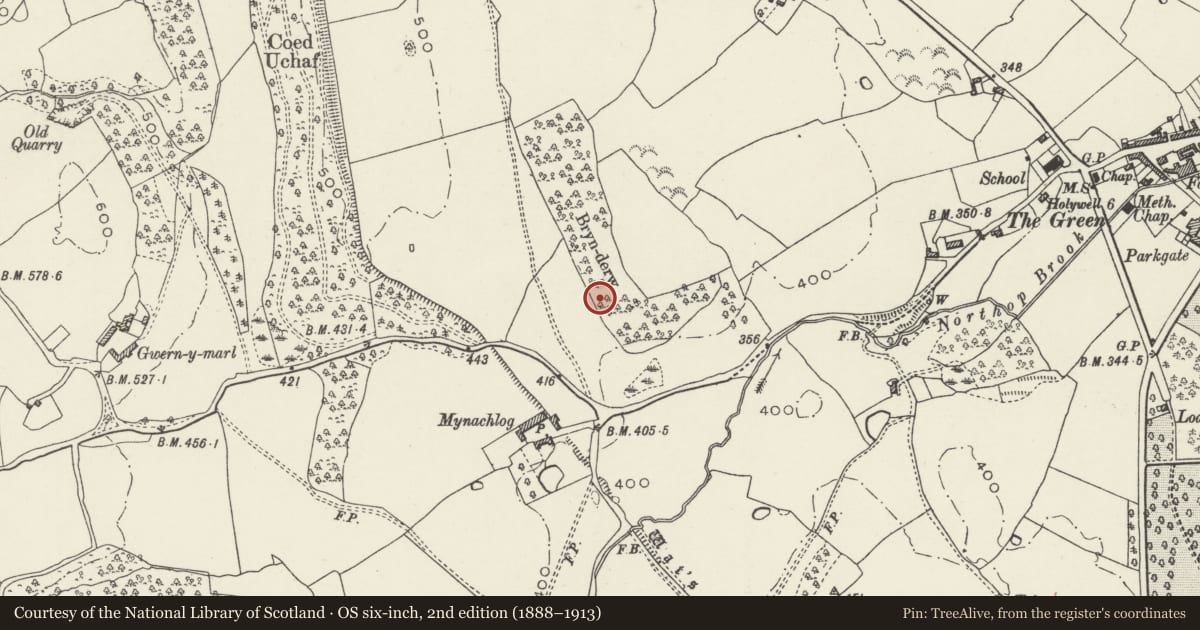 Ordnance Survey six-inch map, 2nd edition (1888–1913) covering the location of Wat's Dyke: Section from Chester-Holywell Road to Soughton Farm, Northop, Flintshire, with a pin at the register's coordinates