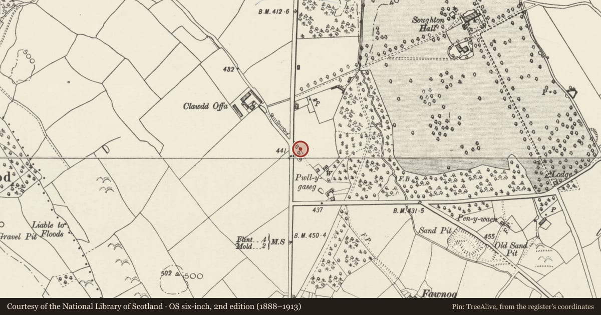Ordnance Survey six-inch map, 2nd edition (1888–1913) covering the location of Wat's Dyke: Section SE of Clawdd Offa, Northop, Flintshire, with a pin at the register's coordinates