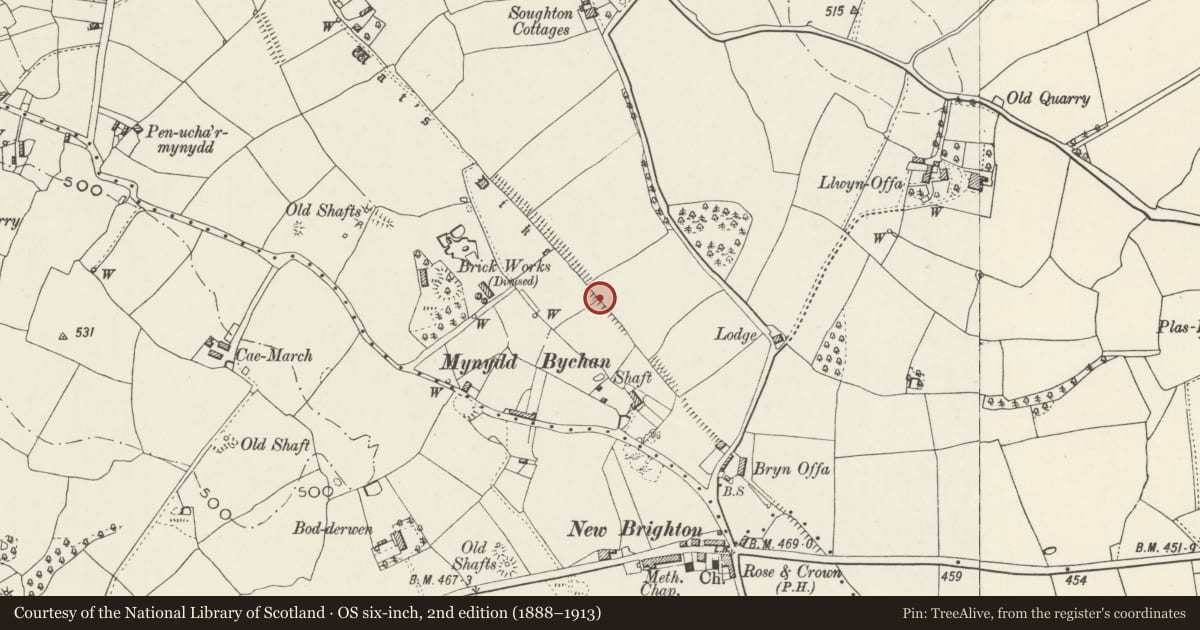 Ordnance Survey six-inch map, 2nd edition (1888–1913) covering the location of Wat's Dyke: Section N & E of New Brighton, Northop, Flintshire, with a pin at the register's coordinates
