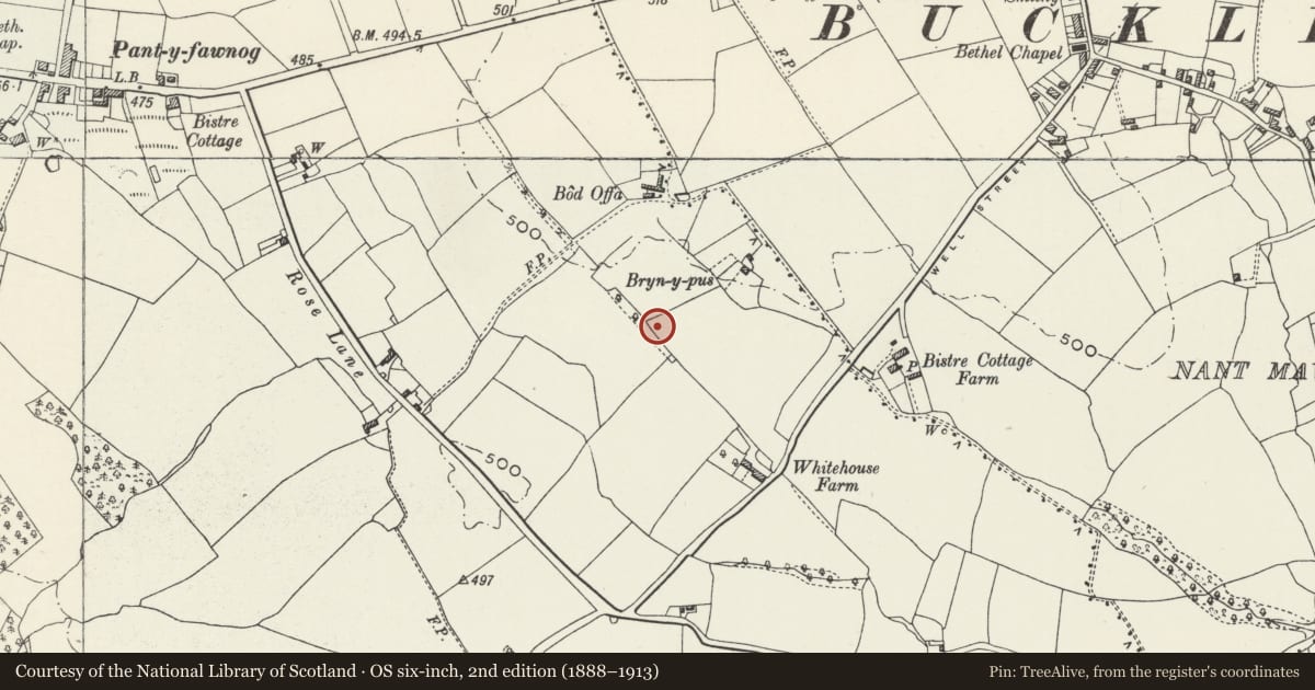 Ordnance Survey six-inch map, 2nd edition (1888–1913) covering the location of Wat's Dyke: Section from Bod Offa to Whitehouse Farm, Argoed, Flintshire, with a pin at the register's coordinates