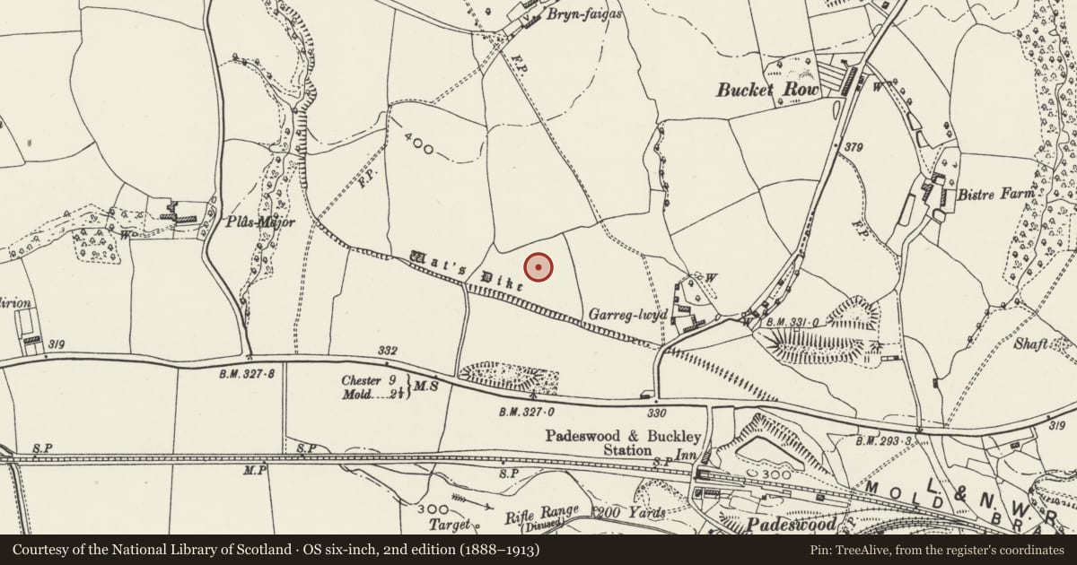 Ordnance Survey six-inch map, 2nd edition (1888–1913) covering the location of Wat's Dyke: Section W of Garreg-Lwyd, Argoed, Flintshire, with a pin at the register's coordinates