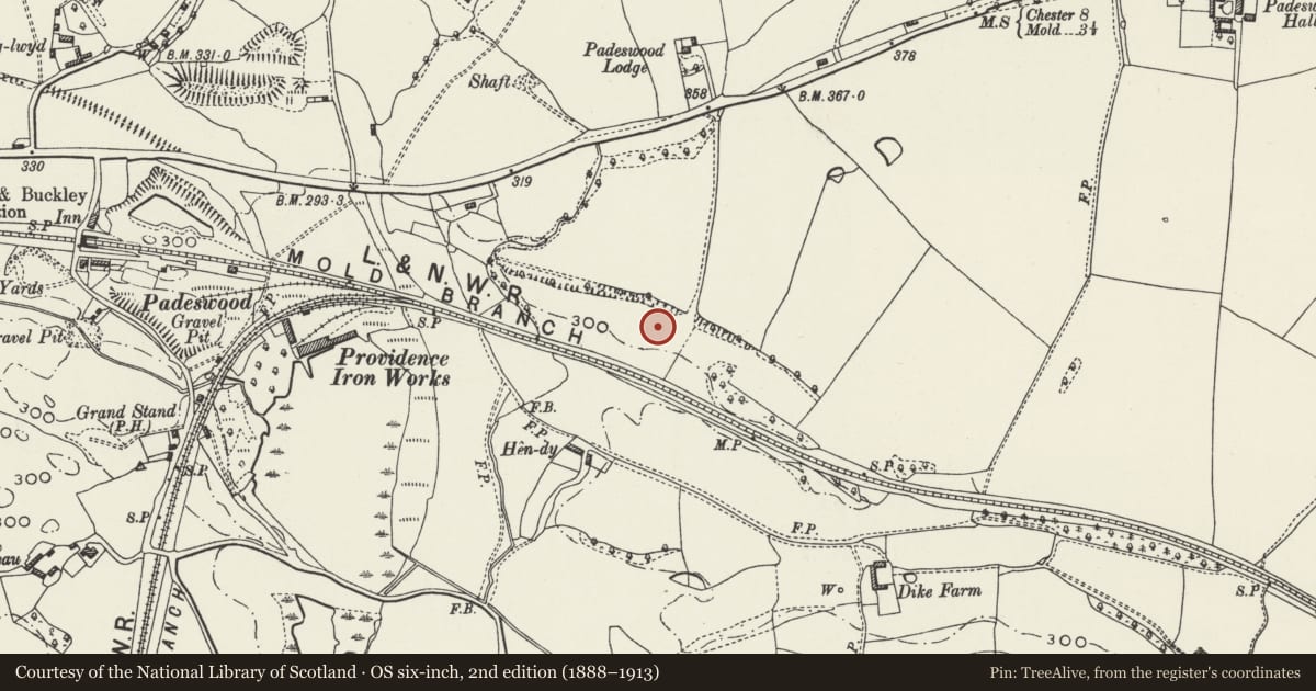 Ordnance Survey six-inch map, 2nd edition (1888–1913) covering the location of Wat's Dyke: Section NE of Hen-Dy Farm, Buckley, Flintshire, with a pin at the register's coordinates