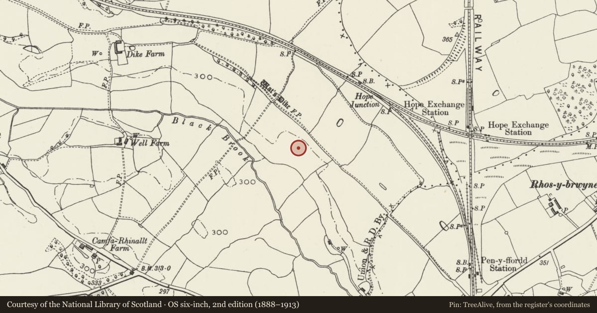 Ordnance Survey six-inch map, 2nd edition (1888–1913) covering the location of Wat's Dyke: Section E and SE of Dyke Farm, Penyffordd, Flintshire, with a pin at the register's coordinates