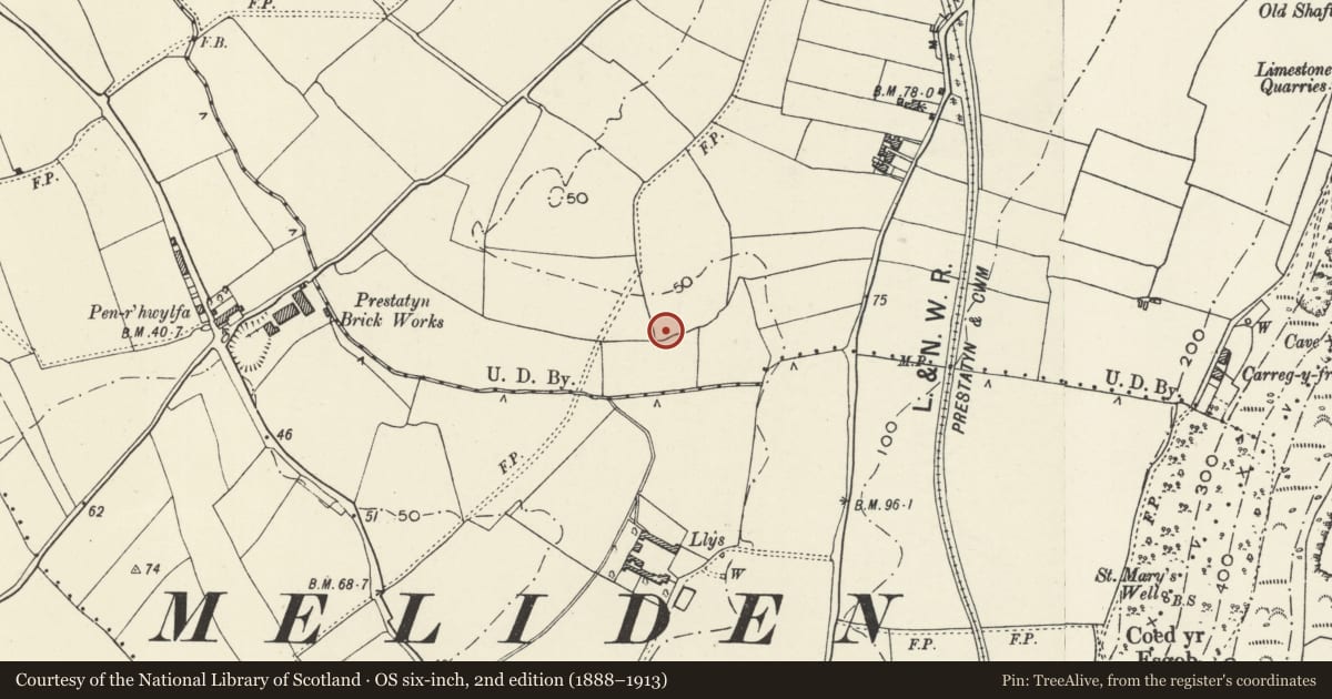 Ordnance Survey six-inch map, 2nd edition (1888–1913) covering the location of Prestatyn Roman Site, Denbighshire, with a pin at the register's coordinates