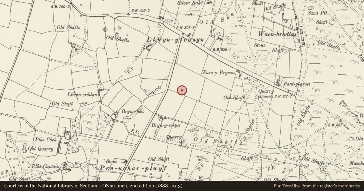 Ordnance Survey six-inch map, 2nd edition (1888–1913) covering the location of Bryn y Cosyn Round Barrows, Ysceifiog, Flintshire, with a pin at the register's coordinates