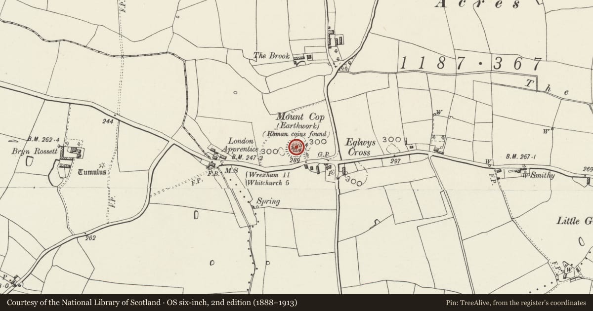 Ordnance Survey six-inch map, 2nd edition (1888–1913) covering the location of Mount Cop Castle Mound, Bronington, Wrexham, with a pin at the register's coordinates